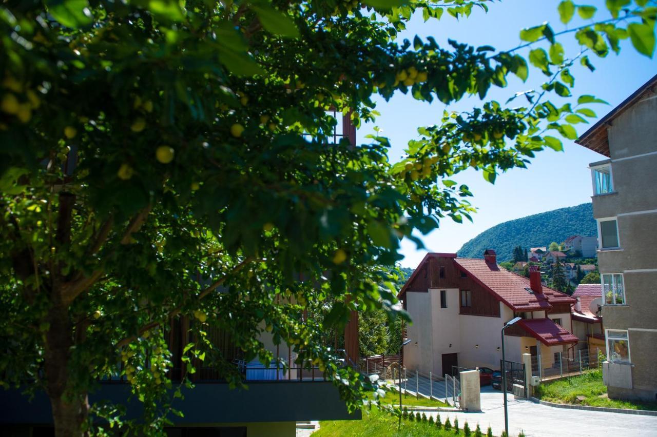 Snug Apartments - Private Parking Near Downtown Braşov Buitenkant foto