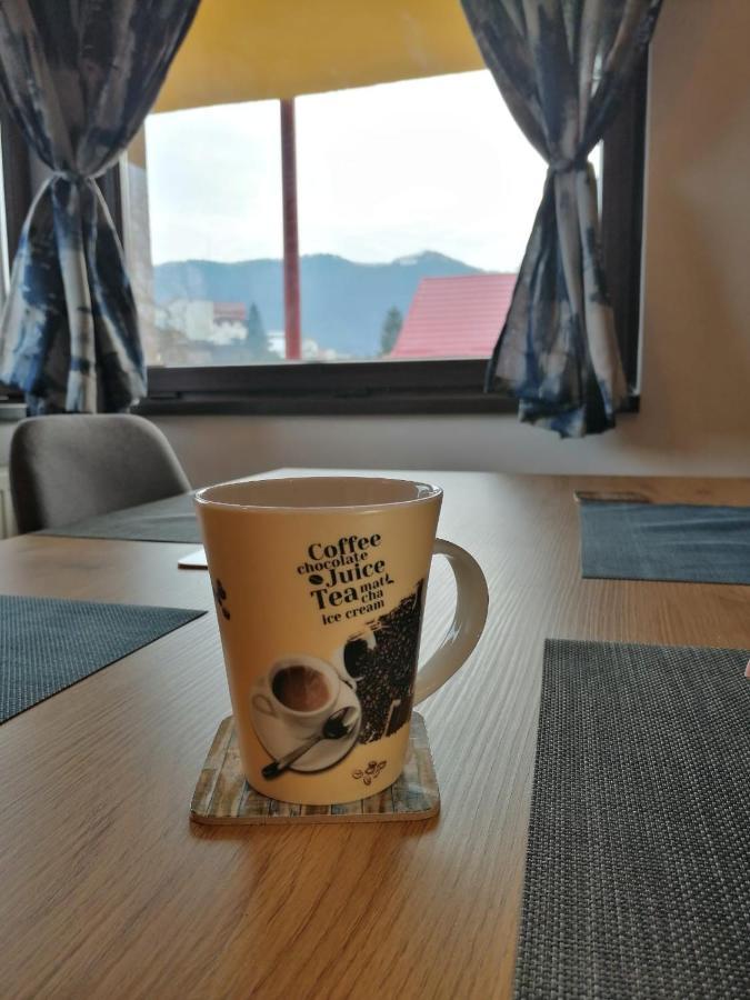 Snug Apartments - Private Parking Near Downtown Braşov Buitenkant foto