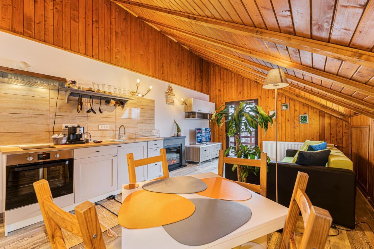 Snug Apartments - Private Parking Near Downtown Braşov Buitenkant foto