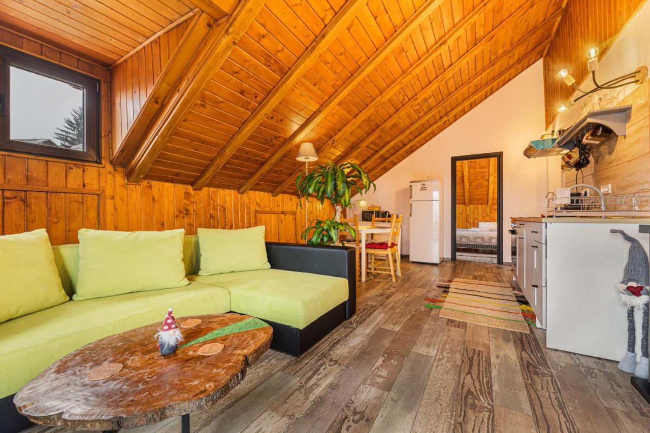 Snug Apartments - Private Parking Near Downtown Braşov Buitenkant foto