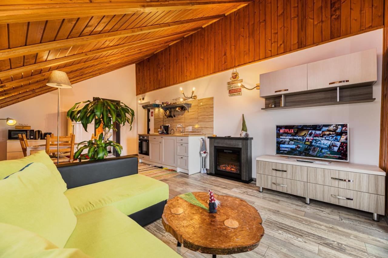 Snug Apartments - Private Parking Near Downtown Braşov Buitenkant foto