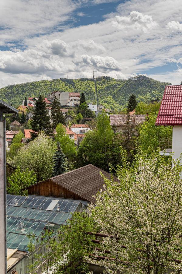 Snug Apartments - Private Parking Near Downtown Braşov Buitenkant foto
