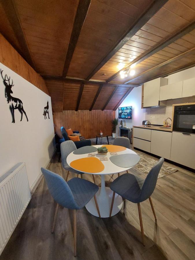Snug Apartments - Private Parking Near Downtown Braşov Buitenkant foto