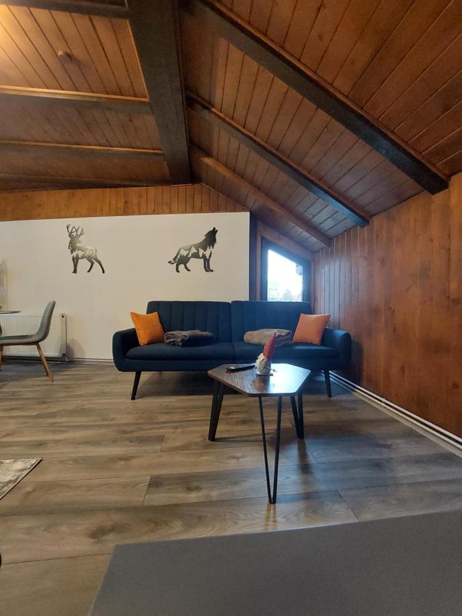 Snug Apartments - Private Parking Near Downtown Braşov Buitenkant foto