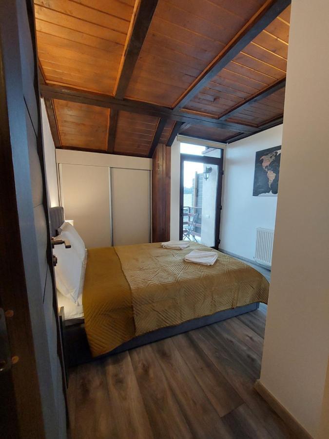 Snug Apartments - Private Parking Near Downtown Braşov Buitenkant foto