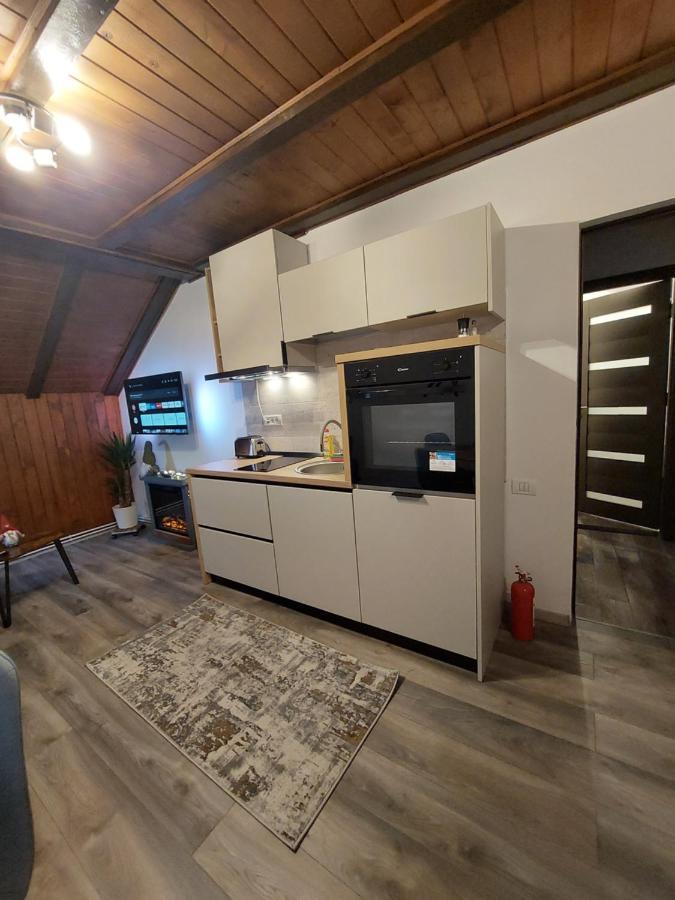 Snug Apartments - Private Parking Near Downtown Braşov Buitenkant foto