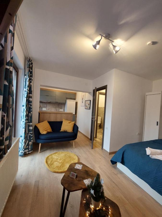 Snug Apartments - Private Parking Near Downtown Braşov Buitenkant foto