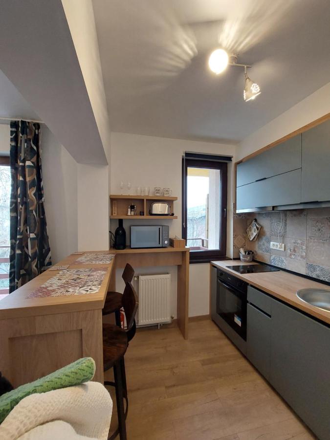 Snug Apartments - Private Parking Near Downtown Braşov Buitenkant foto