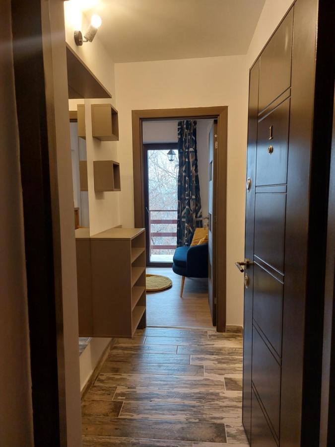 Snug Apartments - Private Parking Near Downtown Braşov Buitenkant foto