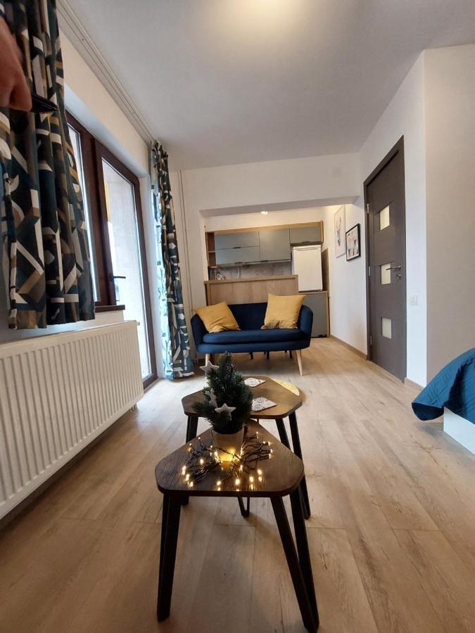 Snug Apartments - Private Parking Near Downtown Braşov Buitenkant foto