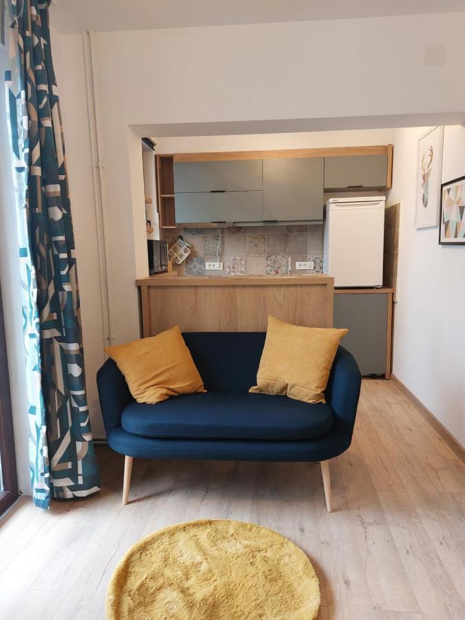Snug Apartments - Private Parking Near Downtown Braşov Buitenkant foto