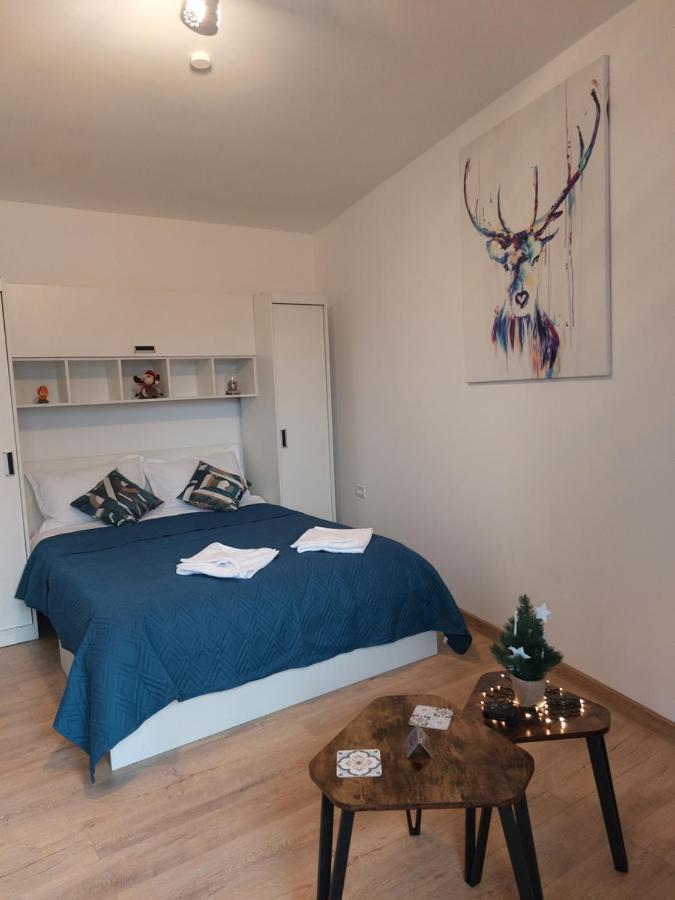 Snug Apartments - Private Parking Near Downtown Braşov Buitenkant foto